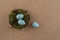 Blue Speckled Eggs and Nest