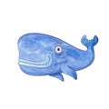 Blue sperm whale