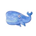 Blue sperm whale Royalty Free Stock Photo