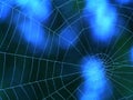 Blue spider web Royalty Free Stock Photo