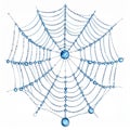 Blue Spiderweb with Dew Drops on White Background Royalty Free Stock Photo