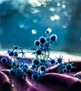 blue spiky flowers on fabric blue bokeh background