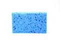 Blue Sponge