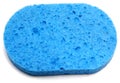 Blue Sponge