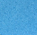 Blue sponge pores detail