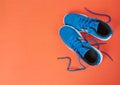 Blue sport shoes Royalty Free Stock Photo