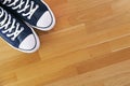 Blue sports sneakers on the background of a wooden floor. View from above. Royalty Free Stock Photo