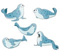 Blue spotted seals