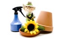 Blue spray bottle with flowerpot Royalty Free Stock Photo