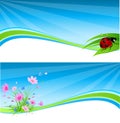 Blue spring banner