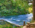 Blue Spring natural area in Missouri -outflow