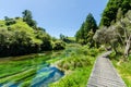 Blue Spring which is located at Te Waihou Walkway,Hamilton New Zealand.