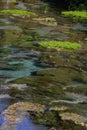 Blue Spring Putaruru, New Zealand