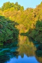 The Blue Spring, Te Waihou, New Zealand. Trees reflected at sunset