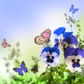 Blue spring violets Royalty Free Stock Photo