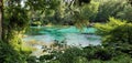 Blue spring water in Florida, Rainbow River headspring Royalty Free Stock Photo