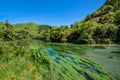 Blue Spring which is located at Te Waihou Walkway,Hamilton New Zealand. Royalty Free Stock Photo