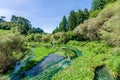 Blue Spring which is located at Te Waihou Walkway,Hamilton New Zealand.