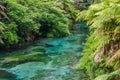 Blue Spring which is located at Te Waihou Walkway,Hamilton New Zealand. Royalty Free Stock Photo