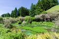 Blue Spring which is located at Te Waihou Walkway,Hamilton New Zealand. Royalty Free Stock Photo