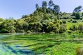 Blue Spring which is located at Te Waihou Walkway,Hamilton New Zealand. Royalty Free Stock Photo