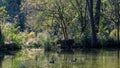 Blue Springs Reserve in Tomasz Mazowiecki