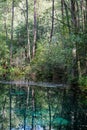 Blue Springs Reserve in Tomasz Mazowiecki