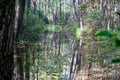 Blue Springs Reserve in Tomasz Mazowiecki