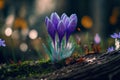 Blue sprouting crocus flowers covered in water droplets in spring. Generative ai illustration. Royalty Free Stock Photo