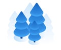 Blue spruce icon. Vector illustration in flat isometric 3D style