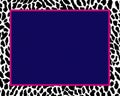 a blue square with pink border on a leopard print background Royalty Free Stock Photo