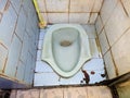 Blue Squat Toilet In Indonesia