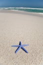 Blue starfish on a beach Royalty Free Stock Photo