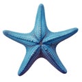 Blue starfish cut out on a transparent background. The light blue starfish is suitable as an element of underwater life.