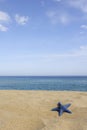 Blue starfish on empty beach,