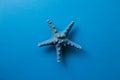 Blue starfish isolated on blue background, summer marine decoration