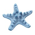 Blue starfish isolated on white background Royalty Free Stock Photo