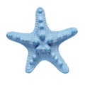 Blue starfish isolated on white background Royalty Free Stock Photo