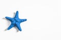 Blue starfish isolated on white background. Royalty Free Stock Photo