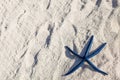 Blue starfish on tropical beach Royalty Free Stock Photo