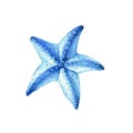 Blue starfish. Underwater life object isolated on white background. Hand drawn watercolor illustration.