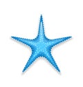 Blue starfish on white background