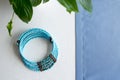 Blue stone beads necklace on white- blue background with plants