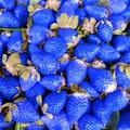 Blue strawberries art Royalty Free Stock Photo