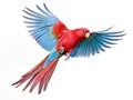 Blue streaked Lory Made With Generative AI illustration