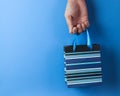 Blue striped gift bag