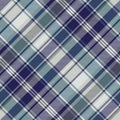 Blue striped tartan plaid seamless pattern