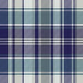 Blue striped tartan plaid seamless pattern