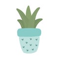 Blue succulent plant in hygge style