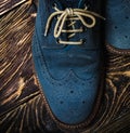 Blue suede shoes